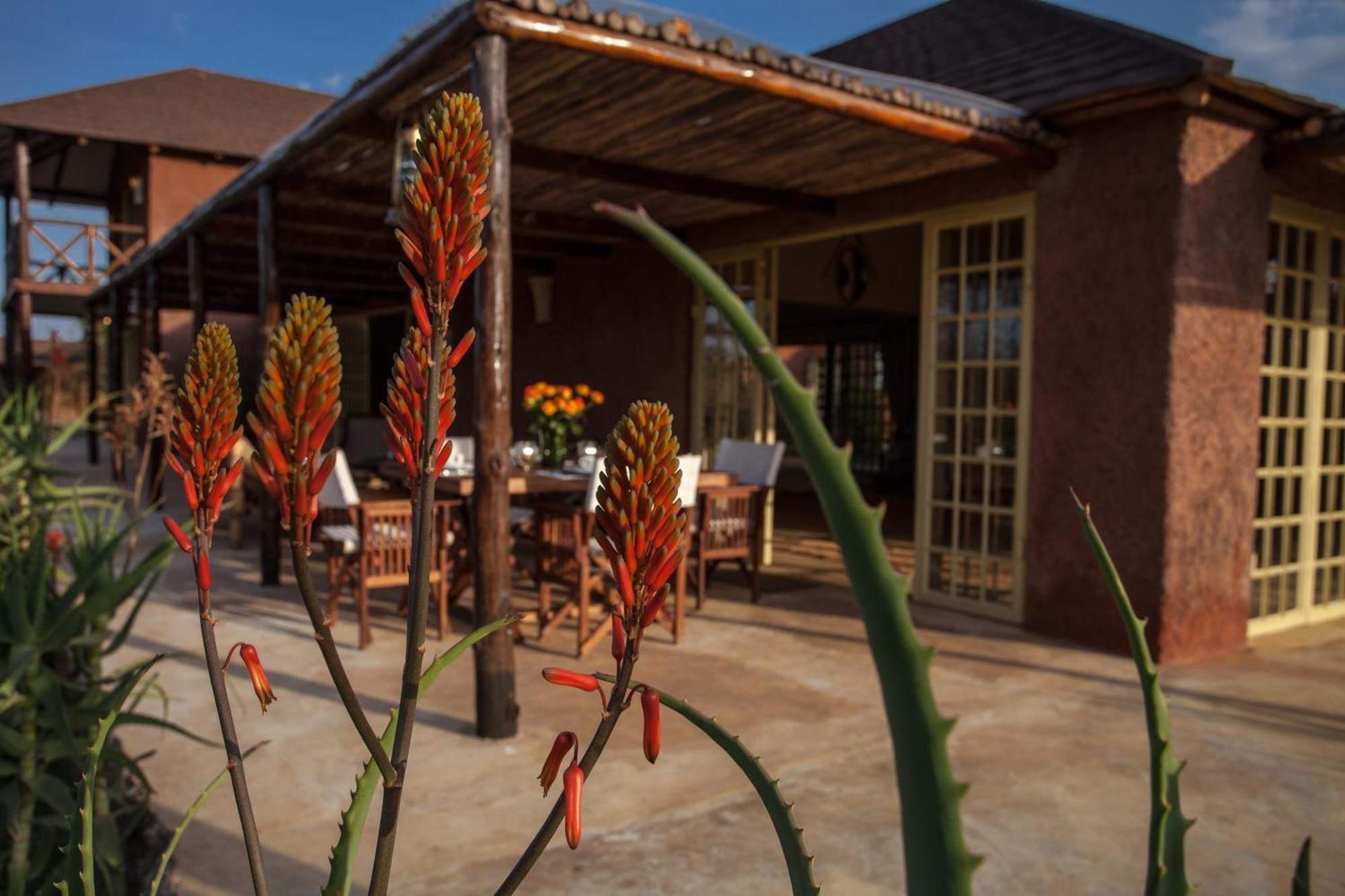 Kili Villa Kilimanjaro Luxury Retreat Arusha Room photo