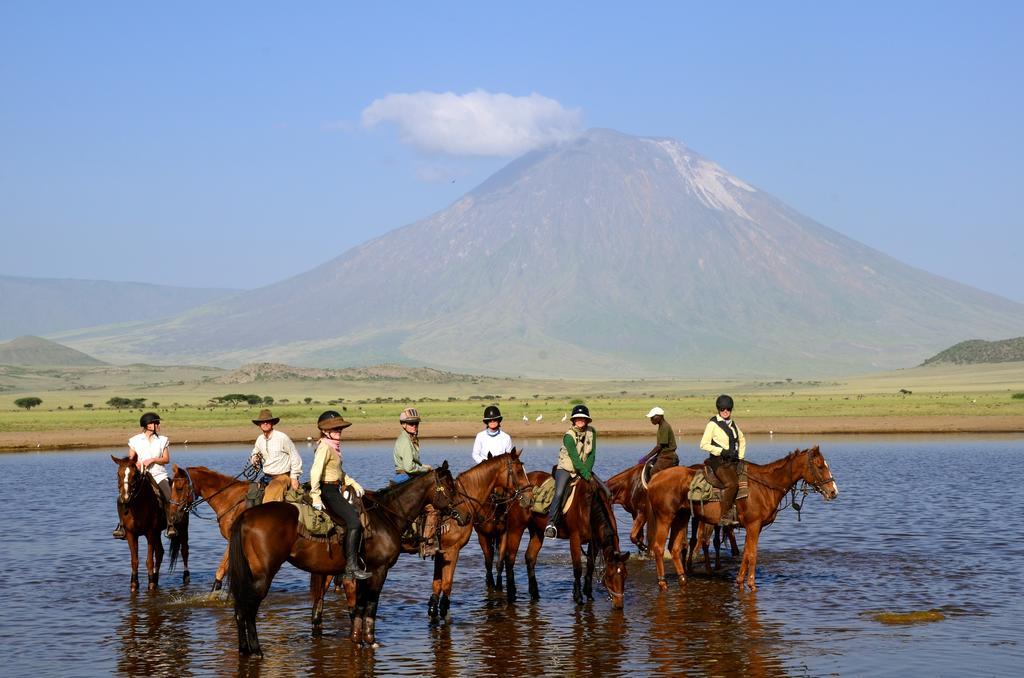 Kili Villa Kilimanjaro Luxury Retreat Arusha Exterior photo